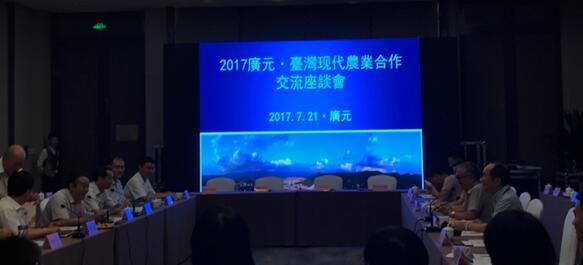 ����´��ڴ�