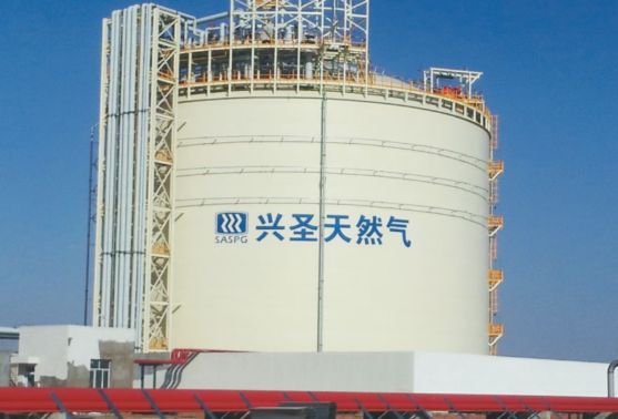 PixPin_2026-02-06_18-54-25.jpg PixPin_2026-02-06_18-54-25.jpg